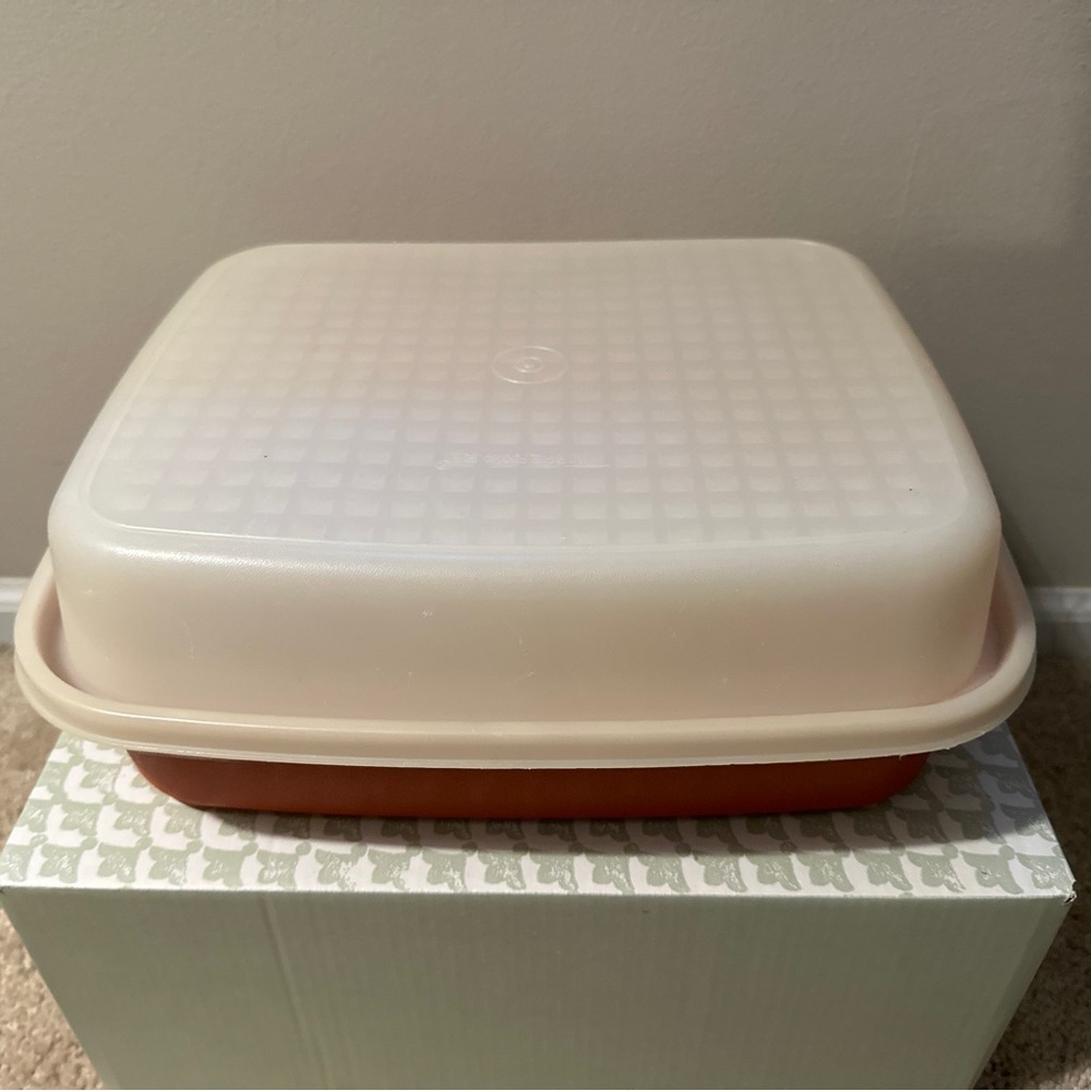 Vintage Tupperware Large Marinating Tenderizer Container 1294-8 Paprika w/ Lid